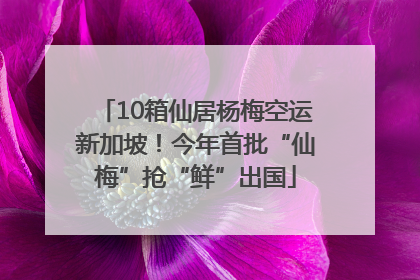 10箱仙居杨梅空运新加坡！今年首批“仙梅”抢“鲜”出国