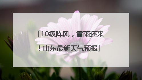 10级阵风，雷雨还来！山东最新天气预报