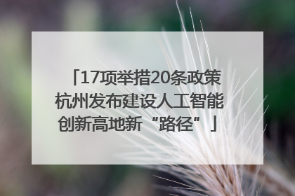 17项举措20条政策 杭州发布建设人工智能创新高地新“路径”