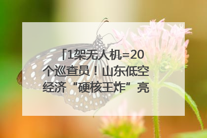 1架无人机=20个巡查员！山东低空经济“硬核王炸”亮相青岛，下一个万亿赛道藏在这里