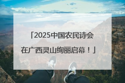 2025中国农民诗会在广西灵山绚丽启幕！