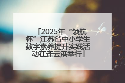 2025年“领航杯”江苏省中小学生数字素养提升实践活动在连云港举行