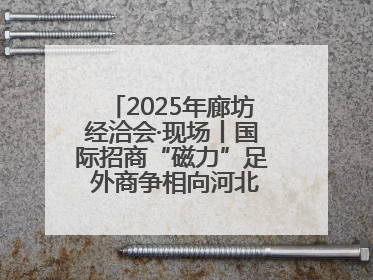 2025年廊坊经洽会·现场丨国际招商“磁力”足 外商争相向河北推介项目