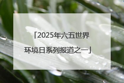 2025年六五世界环境日系列报道之一