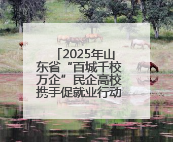 2025年山东省“百城千校万企”民企高校携手促就业行动暨潍坊市职教活动周启动