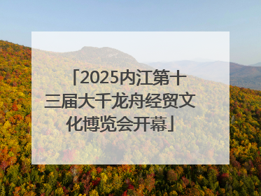 2025内江第十三届大千龙舟经贸文化博览会开幕