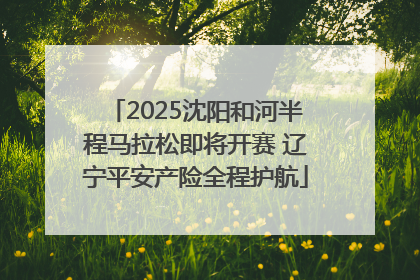 2025沈阳和河半程马拉松即将开赛 辽宁平安产险全程护航