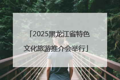 2025黑龙江省特色文化旅游推介会举行