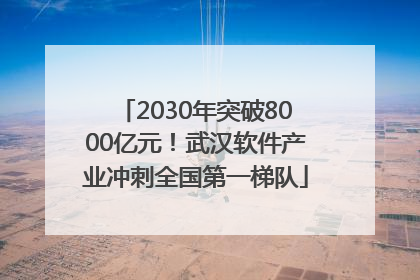 2030年突破8000亿元！武汉软件产业冲刺全国第一梯队