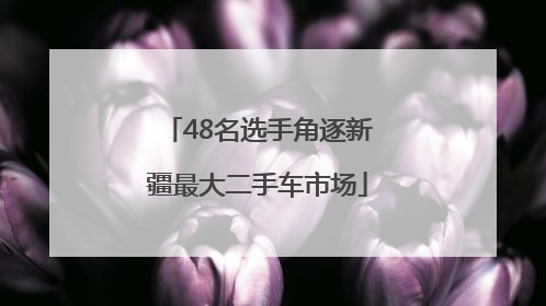48名选手角逐新疆最大二手车市场