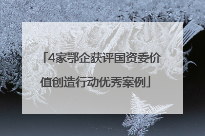 4家鄂企获评国资委价值创造行动优秀案例