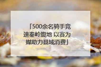 500余名骑手竞速秦岭腹地 以赛为媒助力县域消费