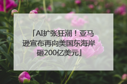 AI扩张狂潮！亚马逊宣布再向美国东海岸砸200亿美元