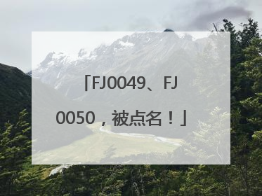 FJ0049、FJ0050，被点名！