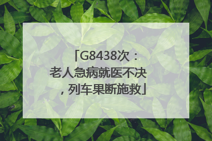 G8438次：老人急病就医不决，列车果断施救
