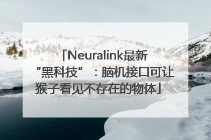 Neuralink最新“黑科技”：脑机接口可让猴子看见不存在的物体
