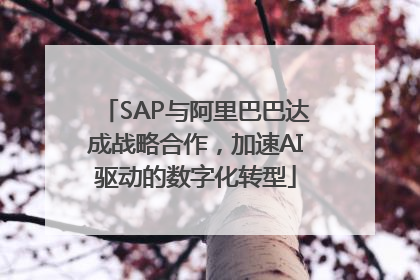 SAP与阿里巴巴达成战略合作，加速AI驱动的数字化转型