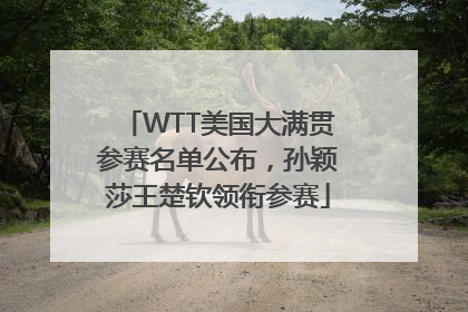 WTT美国大满贯参赛名单公布，孙颖莎王楚钦领衔参赛